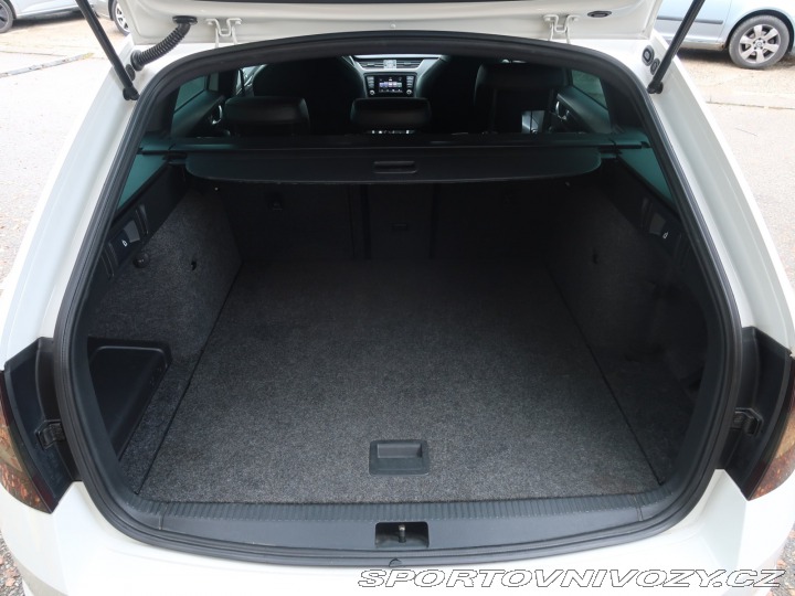 Škoda Octavia RS RS RS 2.0 TDI 2013