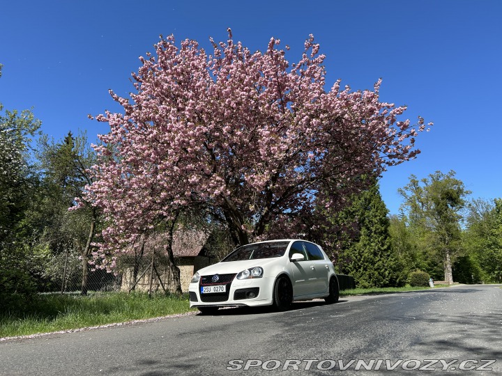 Volkswagen Golf GTI 2008