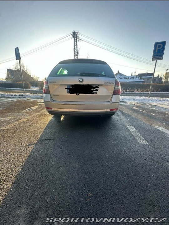 Škoda Ostatní modely Octavia 2,0   2018 rok TDi 2018