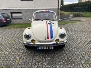 Volkswagen Brouk 