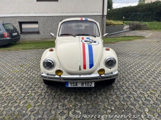 Volkswagen Brouk  1973