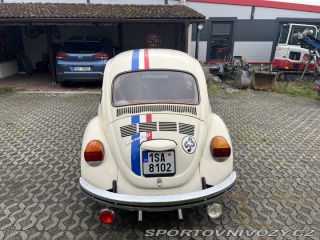 Volkswagen Brouk  1973