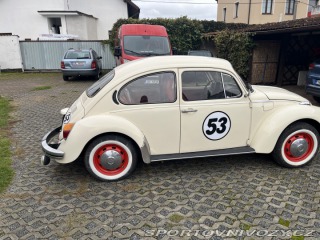 Volkswagen Brouk  1973