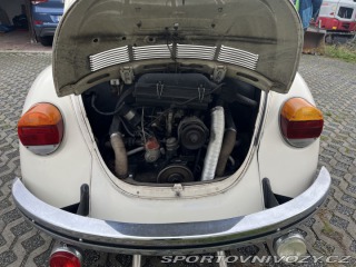 Volkswagen Brouk  1973