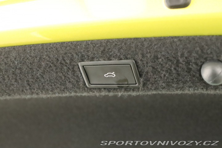 Škoda Octavia RS RS RS 2.0 TSI 2024