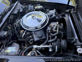 Chevrolet Corvette C3 „Stingray“ 1981