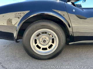 Chevrolet Corvette C3 „Stingray“ 1981