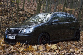 Volkswagen Polo GTI 9N3