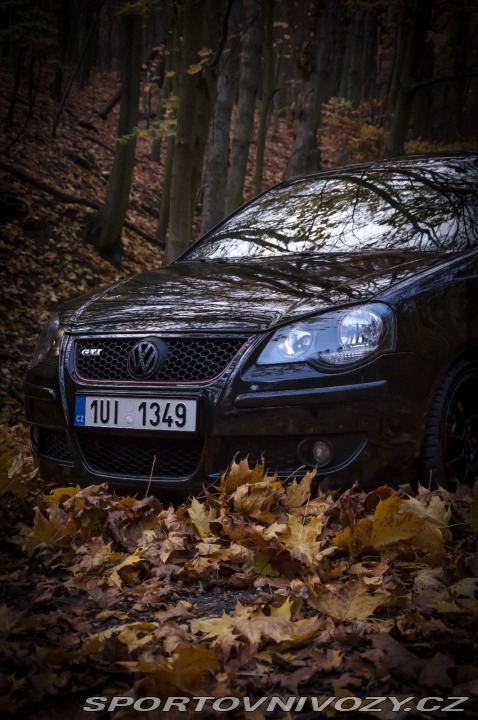 Volkswagen Polo GTI 9N3 2006