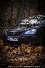 Volkswagen Polo GTI 9N3 2006