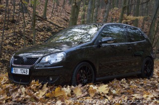 Volkswagen Polo GTI 9N3 2006
