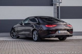 Mercedes-Benz CLS Kupé  450 4Matic  / Nelak 2019