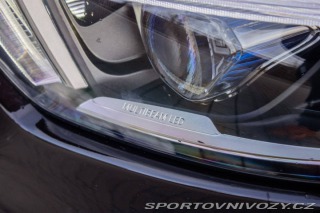 Mercedes-Benz CLS Kupé  450 4Matic  / Nelak 2019