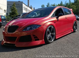 Seat Leon Cupra 2008