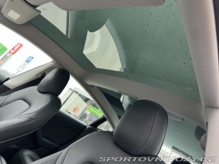 Tesla Model 3 Performance 2022