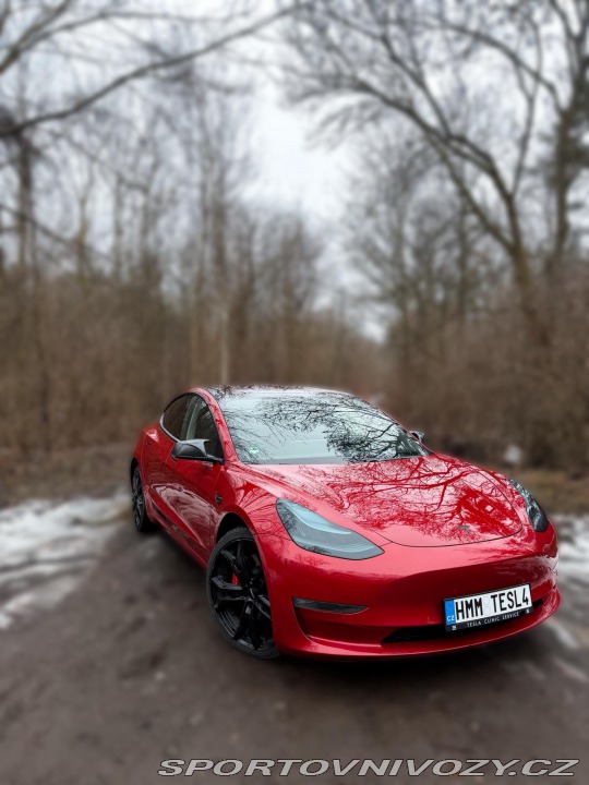Tesla Model 3 Performance AWD 2019