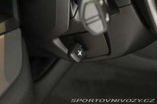 BMW X6 M Paket xDrive40i 2022