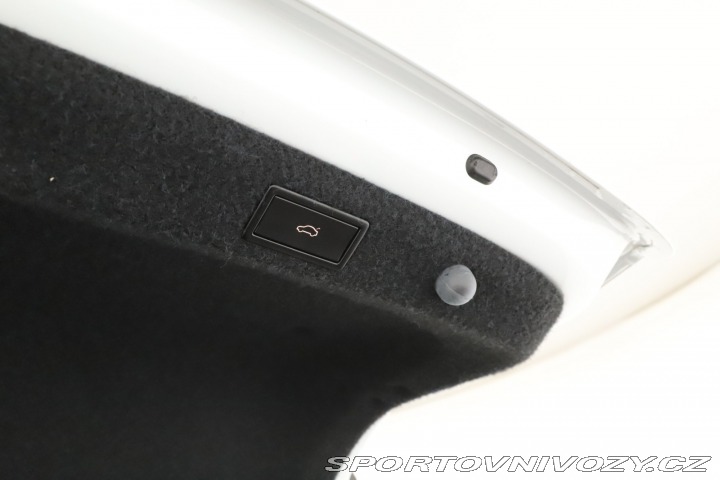 Škoda Octavia RS RS RS 2.0 TDI 4x4 2020