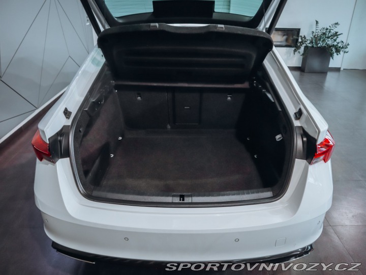 Škoda Octavia RS 2.0 TDI 147kW DSG RS 4x4 2023