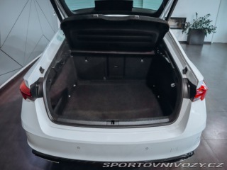 Škoda Octavia RS 2.0 TDI 147kW DSG RS 4x4 2023