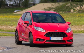 Ford Fiesta ST JA8 2013