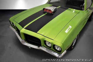 Pontiac GTO GTO 400 Tribute HT V8 6,6l 500hk 1971