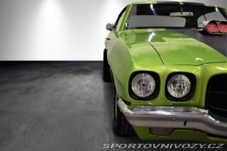 Pontiac GTO GTO 400 Tribute HT V8 6,6l 500hk 1971