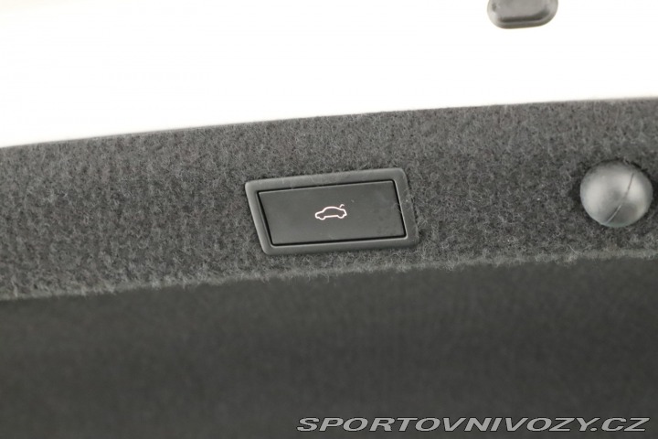 Škoda Octavia RS RS RS 2.0 TSI 2023