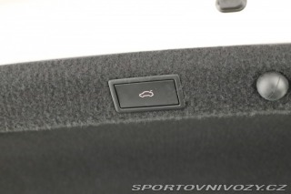 Škoda Octavia RS RS RS 2.0 TSI 2023