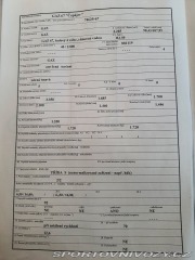 Ostatní značky Ostatní modely GAZ  67 Čapájev 1800