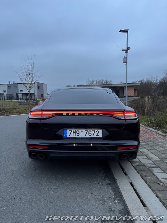 Porsche Panamera 4 E-Hybrid platinum 2022