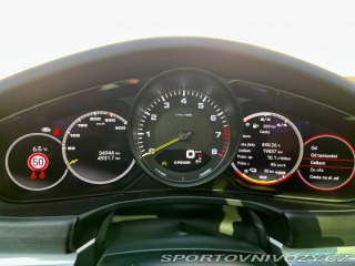 Porsche Panamera 4 E-Hybrid platinum 2022