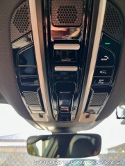 Porsche Panamera 4 E-Hybrid platinum 2022