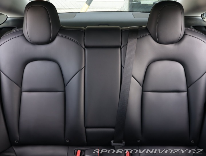 Tesla Model 3 Std Range Plus 52kWh 2020