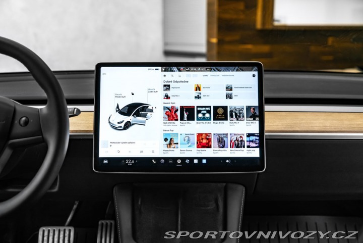 Tesla Model 3 Dual Motor Performance 2021