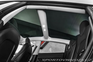 Tesla Model 3 Dual Motor Performance 2021