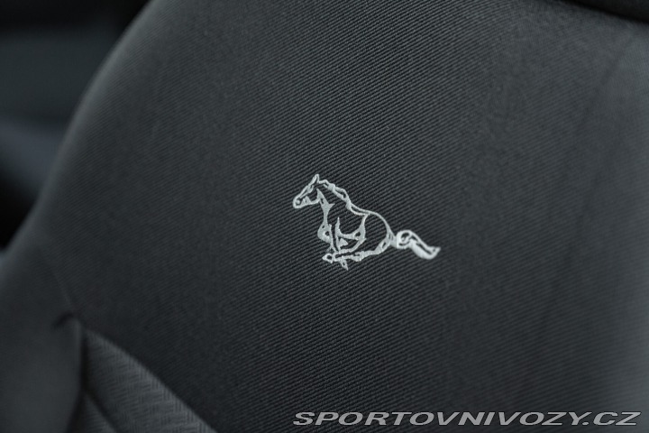 Ford Mustang GT V8 SRS 2002