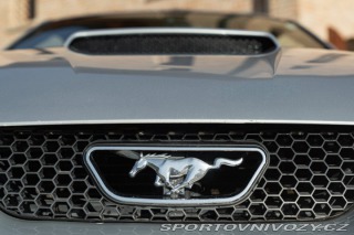 Ford Mustang GT V8 SRS 2002