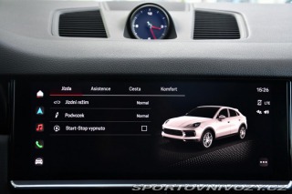 Porsche Cayenne 3.0V6 PLATINUM EDITION AP 2022