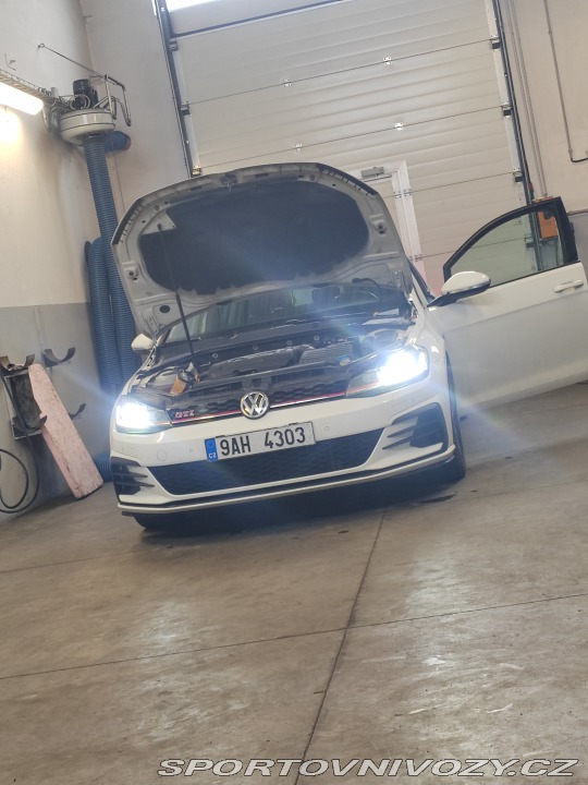 Volkswagen Golf Gti Performance 2019