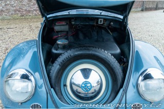 Volkswagen Beetle  1954