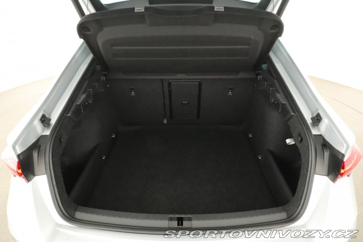 Škoda Octavia RS RS RS 2.0 TSI 2024