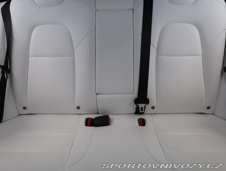 Tesla Model 3 Std Range Plus 52kWh 2020