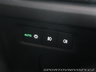 Škoda Octavia RS RS RS 2.0 TSI 2020