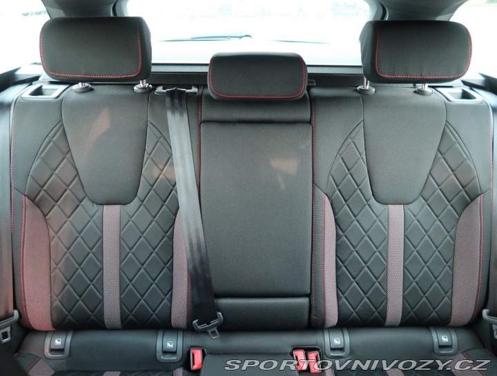 Škoda Octavia RS RS RS 2.0 TDI 4x4 2024