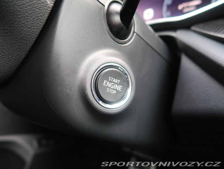 Škoda Octavia RS RS RS 2.0 TDI 4x4 2024