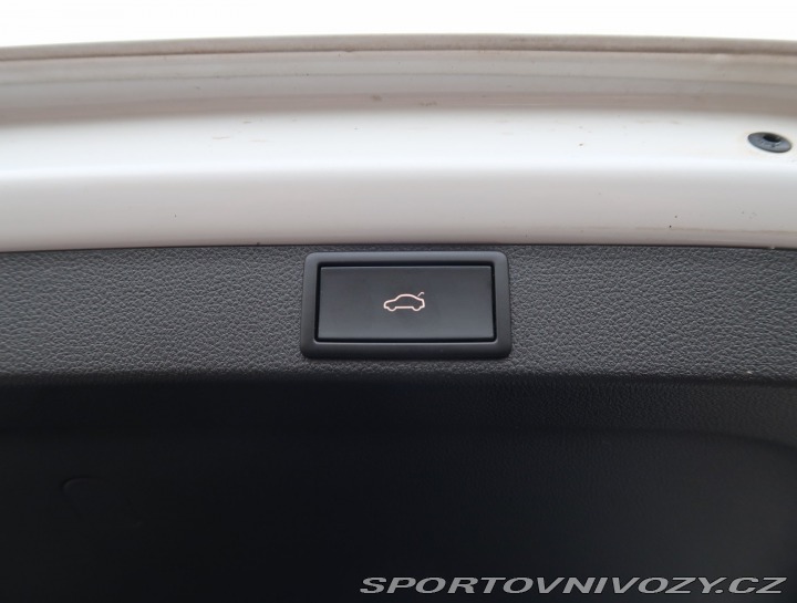 Škoda Octavia RS RS RS 2.0 TDI 4x4 2024