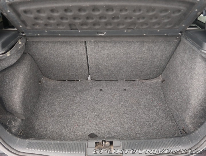 Škoda Fabia RS RS 1.9 TDI 2004