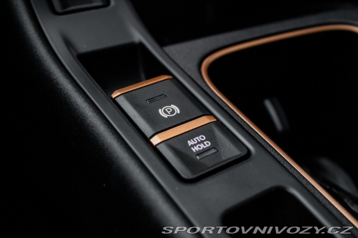 Cupra Terramar 2,0 TSI 4Drive / AJ NA S 2025