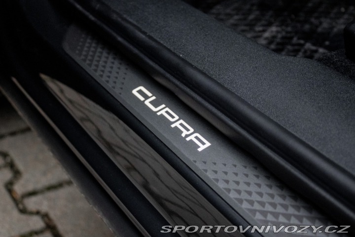Cupra Terramar 2,0 TSI 4Drive / AJ NA S 2025